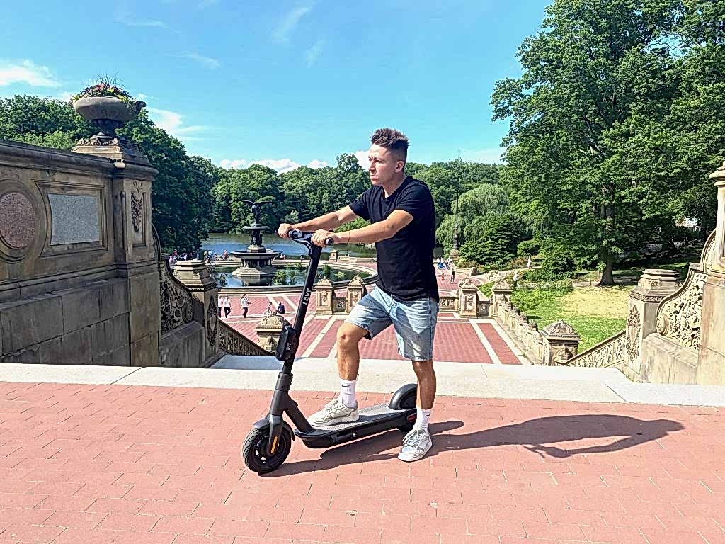 electric sctoore share nyc